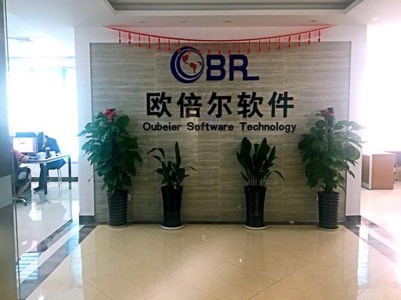 APP开发：点亮创意与技术的火花